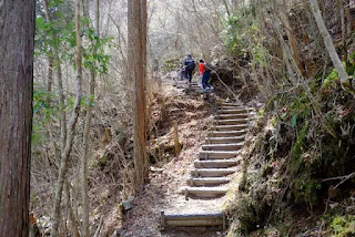 階段を登る