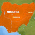 Suicide bombings in Nigerian market 'kill 17'