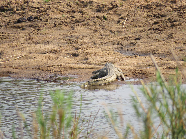 Kruger National Park