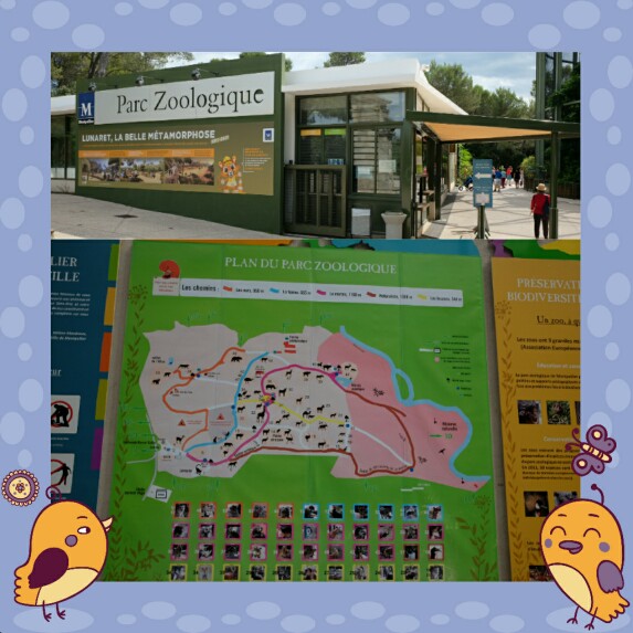 My journal: France Trip 2017 - Montpellier Zoo