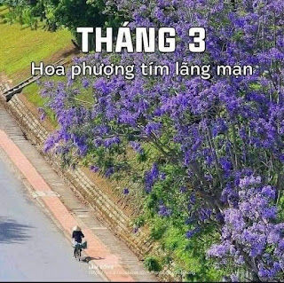Thuê xe tại Đà Lạt tỉnh Lâm Đồng