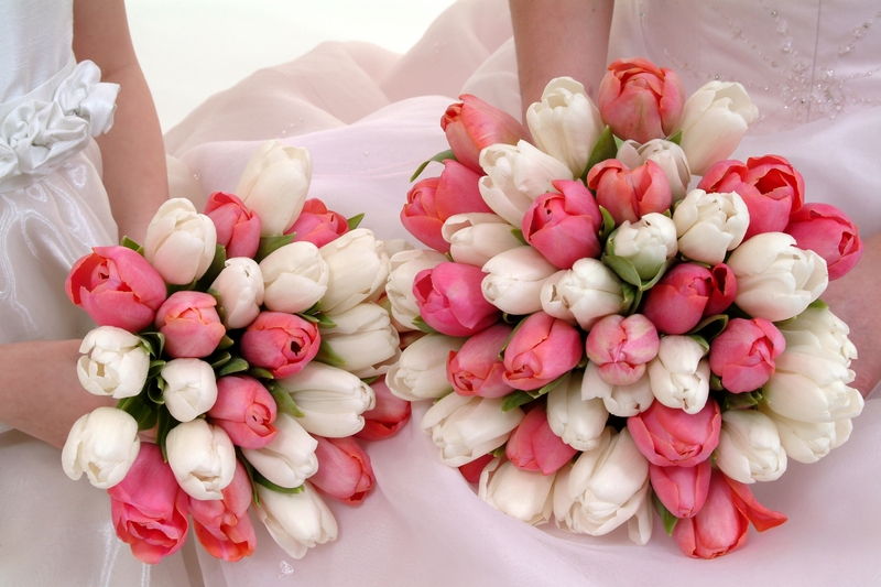 Bridal and flower girl bouquets made of mixed pink and white tulips