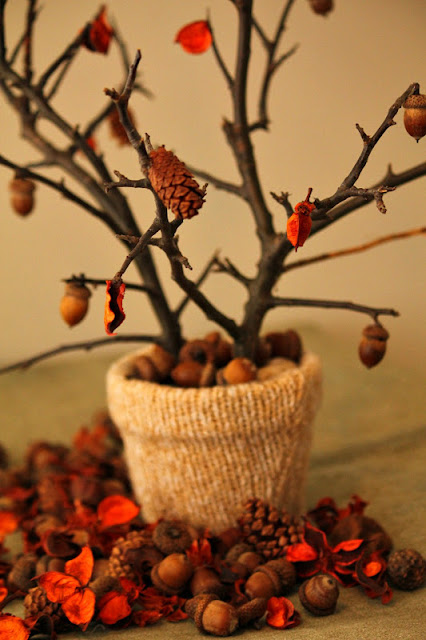 tree branch centerpiece - Turtles and Tails