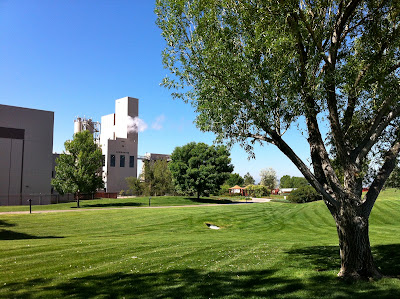 Anheuser Busch Brewery Brewhouse, Fort Collins CO #Colorado #ColorfulColorado www.thebrighterwriter.blogspot.com