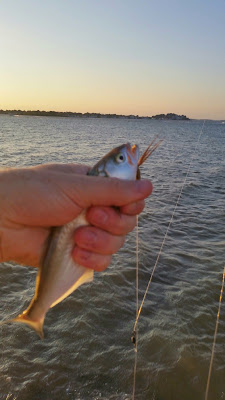 Fishing-Wessagusset-Beach-North-Weymouth-Travel-The-East