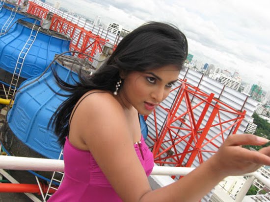 hot kannada tamil actress divya or ramya hot show pics-beautyceleb.blogspot.com