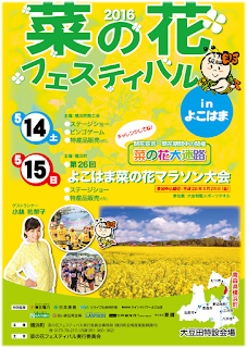 2016 Canola Festival in Yokohama Flyer 2015菜の花フェスティバルinよこはま　チラシ