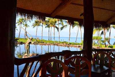 Ocean view from inside Humuhumunukunukuapua'a - www.curiousadventurer.blogspot.com