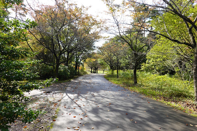 鳥取県西伯郡南部町鶴田　とっとり花回廊