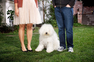 Priscilla Chan and mark with cute puppy