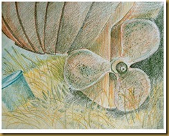 sizewell boat web