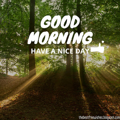 Good-Morning-Images