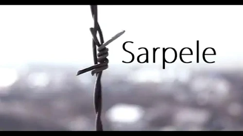 sarpele