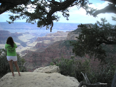 Grand Canyon from the North Rim, with tourist