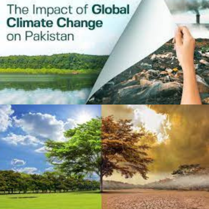 climate change in Pakistan 2022| causes of climate change in Pakistan and effects
