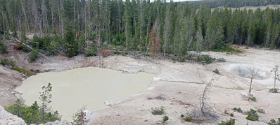 Yellowstone, Mud Volcano, Sulphur Caldron.