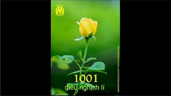 1001 Điều Nghịch Lí (0001) Im Lặng Của Bài Ca