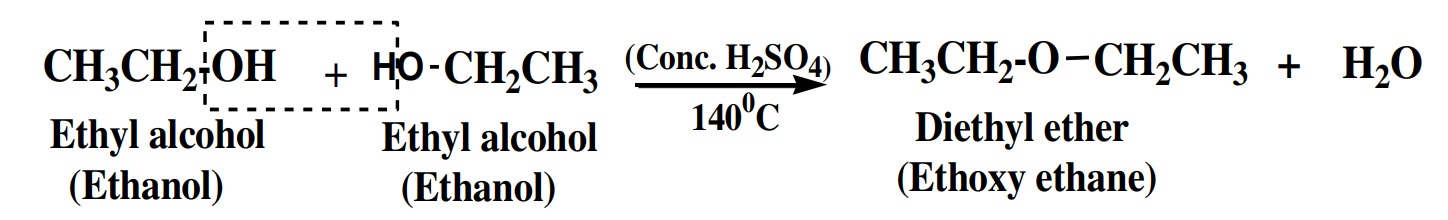 Ethyl alcohol reacts with conc. H2SO4  at 140℃ to give ethyl diethyl ether (Ethoxy ethane).