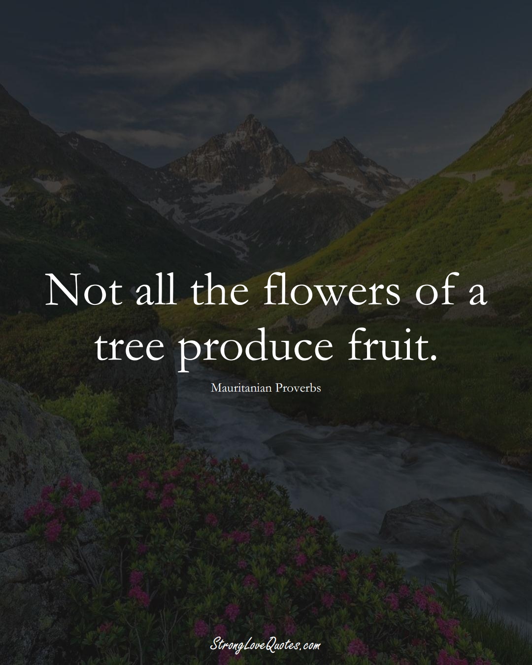 Not all the flowers of a tree produce fruit. (Mauritanian Sayings);  #AfricanSayings