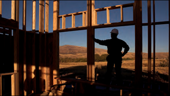 Engineered structural lumber 