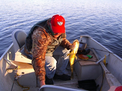 another big walleye