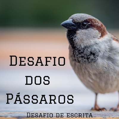 Desafio de Escrita dos Pássaros - Reflexão