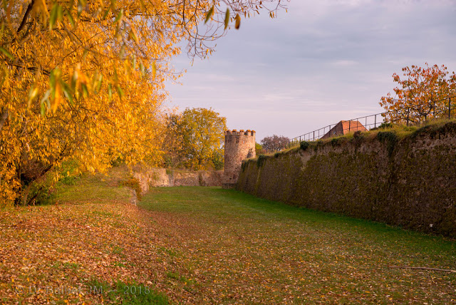 Fortifications de Bergheim (Alsace). Front nord - tour semi-circulaire adaptée à l'usage des armes à feu.