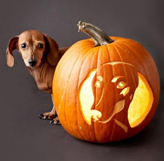 Pumpkin Carving Ideas - Dogs On Pumpkins