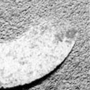And Ufo