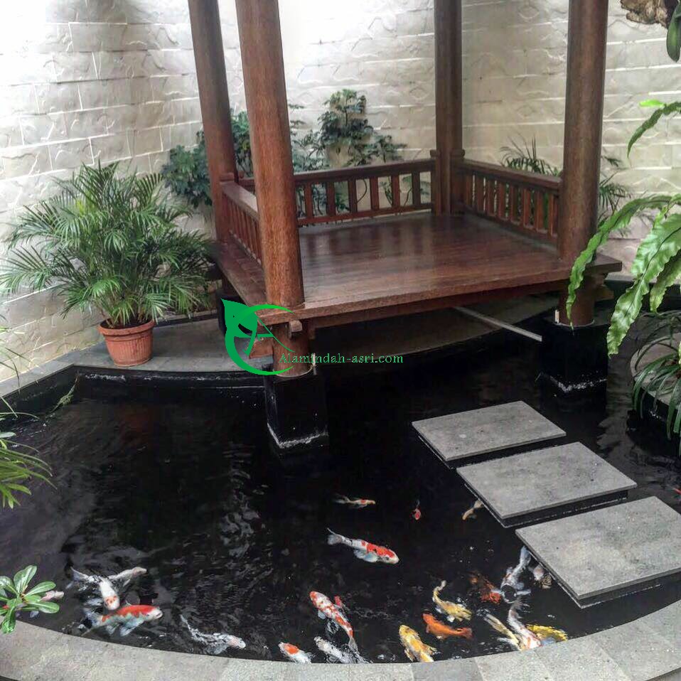 TUKANG KOLAM IKAN KOI PROFESIONAL