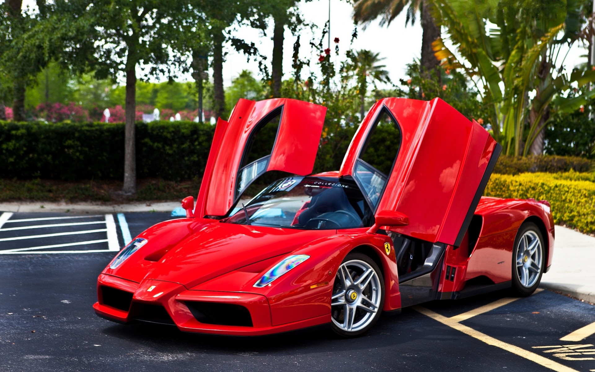 Ferrari Enzo Rojo - Fondos de Pantalla HD - Wallpapers HD