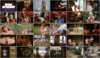 Drengen der forsvandt / The Boy Who Disappeared. 1984. FULL-HD.