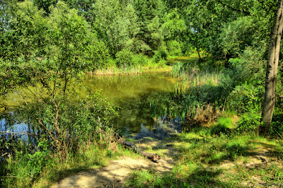 Smolnica - Pond Słoneczny