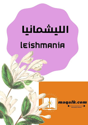 الليشمانيا Leishmania