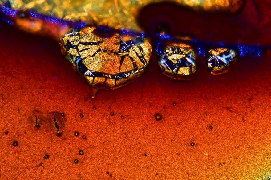 2016 Nikon Macro Photo Contest Winners Show The World Like You’ve Never Seen Before - Ninth Place. Espresso Coffee Crystals