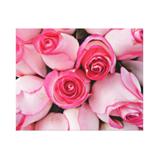 Pink roses canvas art