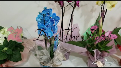 Hortensias, orquídeas, calas, anturio