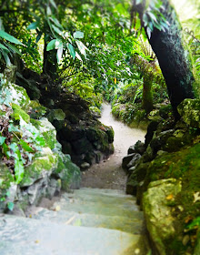 The Lost Gardens of Heligan, Cornwall - sunken footpaths