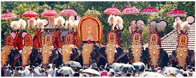 nenmara vallangi vela is being celebrated at Nellikulangara devi temple every year