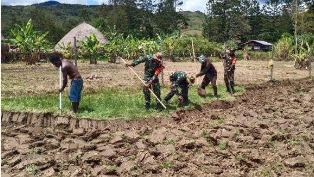 Babinsa lakukan Pengolahan Bedeng Bersama Petani di Asologaima