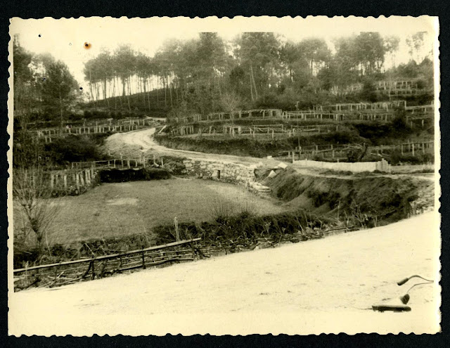 camiño picoña Historia Salceda de Caselas