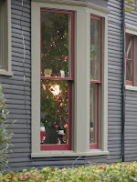 chorstmas tree in window cambridge copyright kerry dexter