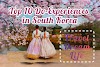 Top 10 Must-Do Experiences in South Korea 