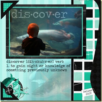 amyDiscover