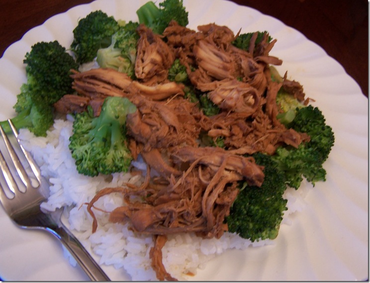 Chinese Chicken 003
