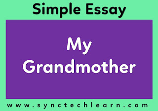 essay on my grandmother in English