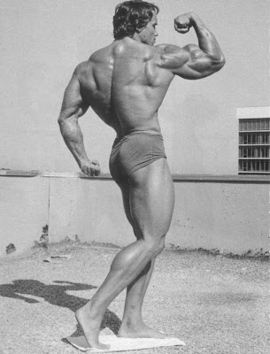 arnold schwarzenegger young