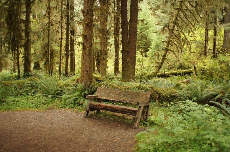 hall-of-mosses-10
