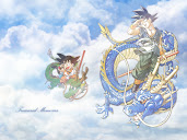 #38 Dragon Ball Wallpaper