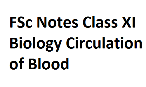 FSc Notes Class XI Biology Circulation of Blood fscnotes0